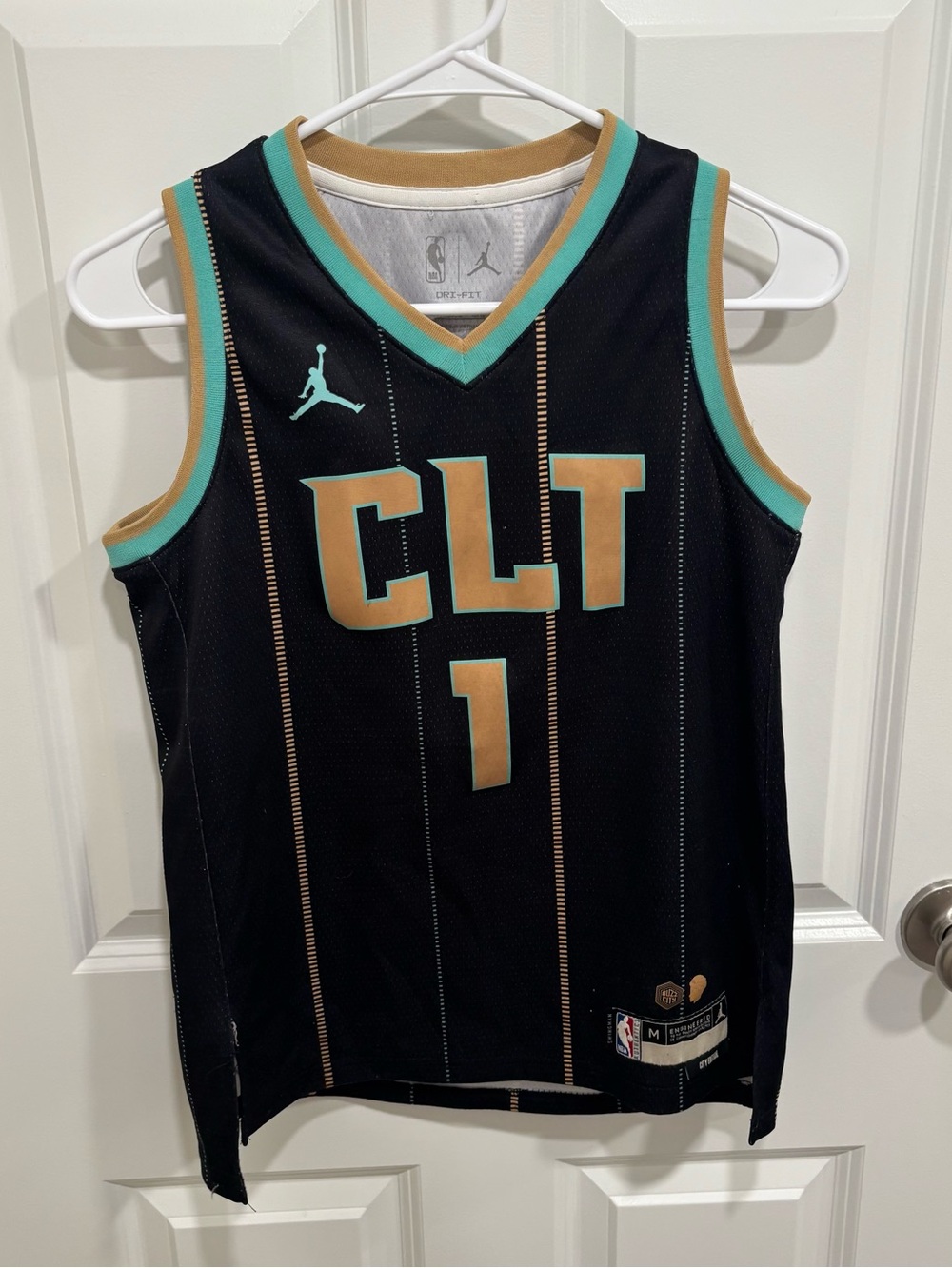Nike Air Jordan Charlotte Hornets LaMelo Ball #1 Boys U.S. Medium Jersey